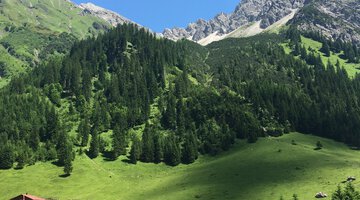 Blick auf den Elfer