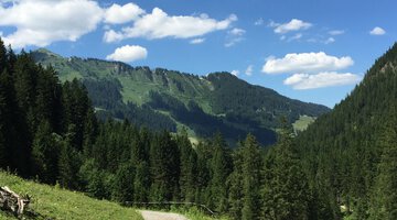 Aus dem Gemsteltal hinaus