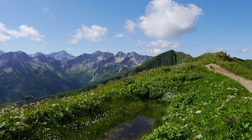 Am Schlappoltkopf