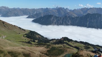 Gipfel des Fellhorns