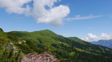 Blick zurück zum Fellhorn aus Richtung Kanzelwand