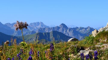 Fantasisches Ifenpanorama
