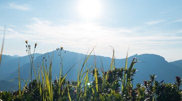 Ausblick Gehrenspitze