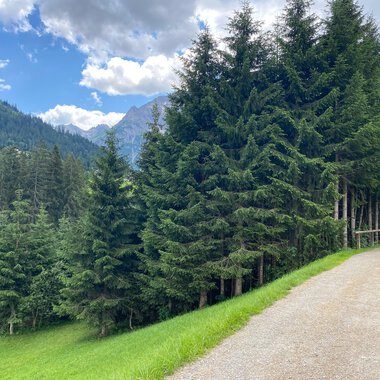 Breitach Runde