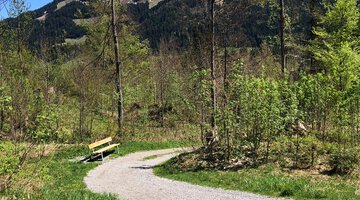 Wanderweg an der Breitach