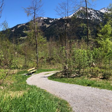 Wanderweg an der Breitach