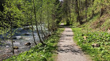 Wanderweg an der Breitach