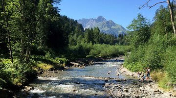Blick über die Breiach