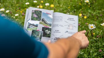 das große naturforscher-abenteuer: insekten_img_78858937