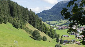 Auf der Lichtung über Mittelberg