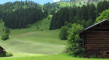 Walserställe