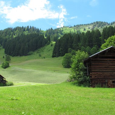 Walserställe
