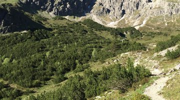 Oberstdorfer Hammerspitze