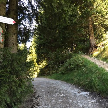 Abzweigung rechts zur Oberen Lüchlealpe
