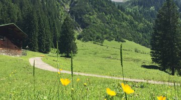 Natur pur im Gemsteltal