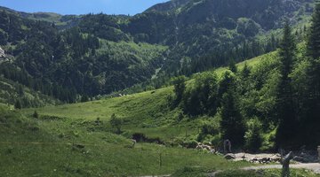 Blick ins Tal - Aussichtsbank