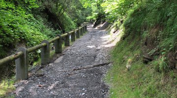 Spazierweg in Hirschegg
