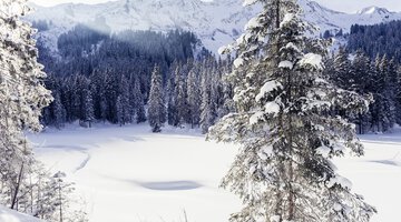 Schwarzwassertal im Winter