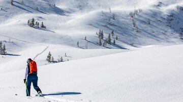 Skitour im Schwarzwassertal