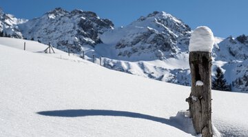 Wildental Panorama