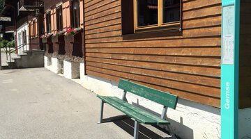 Haltestelle Mittelberg Gemse