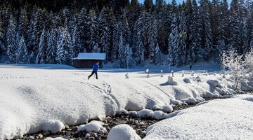 Langlauf Steinbockloipe