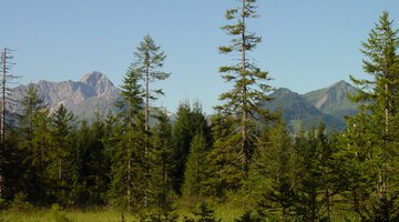 Straußberg
