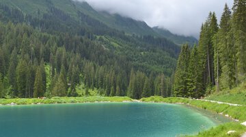 Herzsee im Schwarzwassertal