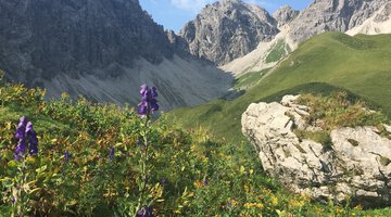 Wanderweg im Kleinwalsertal