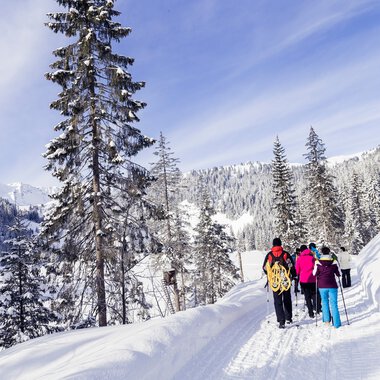 Schwarzwassertal Winterwanderweg