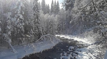 Breitachweg