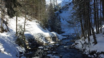Schatten-Sonnen-Spiele am Schwarzwasserbach