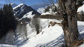 Auf dem Baader Höhenweg