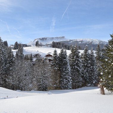 Blick auf den Ifen