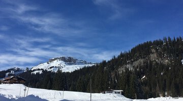 Blick zum Ifen vom Oberwäldele