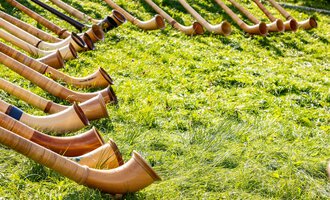 Eine Reihe von Alphörnern liegt auf grünem Gras. Die Hörner sind aus Holz und haben eine typische, geschwungene Form. | © Kleinwalsertal Tourismus | Frank Drechsel