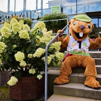 © Kleinwalsertal Tourismus | Oliver Farys A large, friendly mascot sits on a staircase in front of a building. Next to it stands a flowering shrub with white flowers. | © Kleinwalsertal Tourismus | Oliver Farys