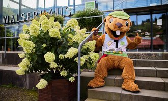 A large, friendly mascot sits on a staircase in front of a building. Next to it stands a flowering shrub with white flowers. | © Kleinwalsertal Tourismus | Oliver Farys