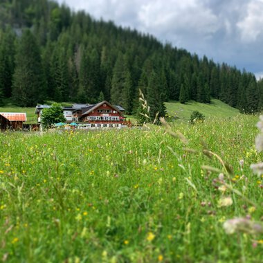 A picturesque meadow with colorful flowers and tall grass, surrounded by dense forests. In the background, there is a traditional wooden house. | © Das KÜREN