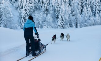 © Kleinwalsertal Tourismus | Oliver Farys A person is pulling a sled through the snowy landscape. In the background, there are snow-covered trees and a group of sled dogs visible. | © Kleinwalsertal Tourismus | Oliver Farys
