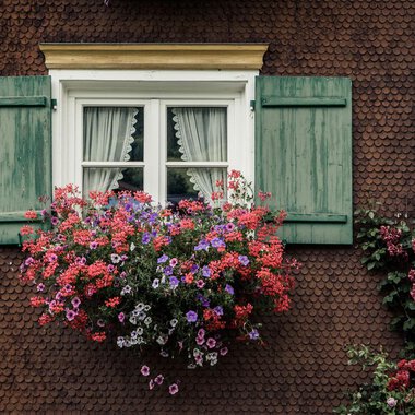 A window with green shutters and a colorful flower box. The flowers are in various colors, creating a lively atmosphere. | © Kleinwalsertal Tourismus | Oliver Farys