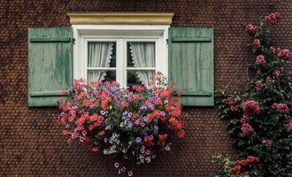 A window with green shutters and a colorful flower box. The flowers are in various colors, creating a lively atmosphere. | © Kleinwalsertal Tourismus | Oliver Farys