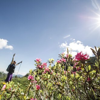 © Kleinwalsertal Tourismus | Dominik Berchtold A hiker stands amidst colorful flowers under bright sunlight. The sky is blue with a few clouds. | © Kleinwalsertal Tourismus | Dominik Berchtold