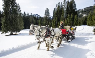 © Kleinwalsertal Tourismus | Dominik Berchtold A horse-drawn sleigh is traveling through a snow-covered landscape with tall pines. In the background, mountains and a blue sky can be seen. | © Kleinwalsertal Tourismus | Dominik Berchtold
