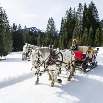 © Kleinwalsertal Tourismus | Dominik Berchtold A horse-drawn sleigh is traveling through a snow-covered landscape with tall pines. In the background, mountains and a blue sky can be seen. | © Kleinwalsertal Tourismus | Dominik Berchtold