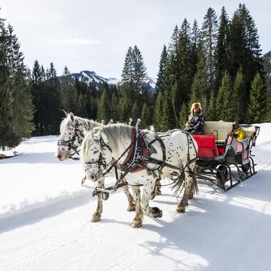© Kleinwalsertal Tourismus | Dominik Berchtold A horse-drawn sleigh is traveling through a snow-covered landscape with tall pines. In the background, mountains and a blue sky can be seen. | © Kleinwalsertal Tourismus | Dominik Berchtold