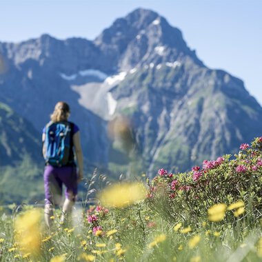 A person walks through a blooming meadow with colorful flowers. In the background, majestic mountains rise under a clear blue sky. | © Kleinwalsertal Tourismus eGen