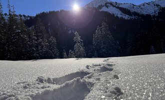 Eine verschneite Landschaft mit Fußspuren im Schnee. Im Hintergrund sind Bäume und Berge unter einem klaren Himmel sichtbar. | © Kleinwalsertal Tourismus eGen | Ken Gibson