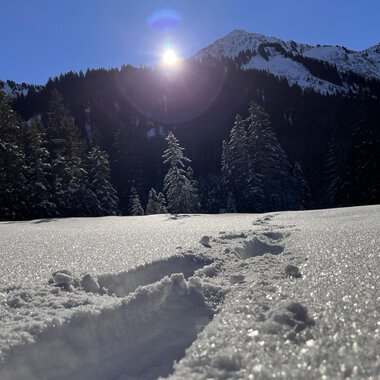 © Kleinwalsertal Tourismus eGen | Ken Gibson A snowy landscape with footprints in the snow. In the background, trees and mountains are visible under a clear sky. | © Kleinwalsertal Tourismus eGen | Ken Gibson