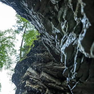 © Breitachklammverein eG | Dominik Berchtold Eine steinige Klippe mit Wasser, das von oben herab tropft. Darüber wachsen grüne Bäume im Hintergrund. | © Breitachklammverein eG | Dominik Berchtold